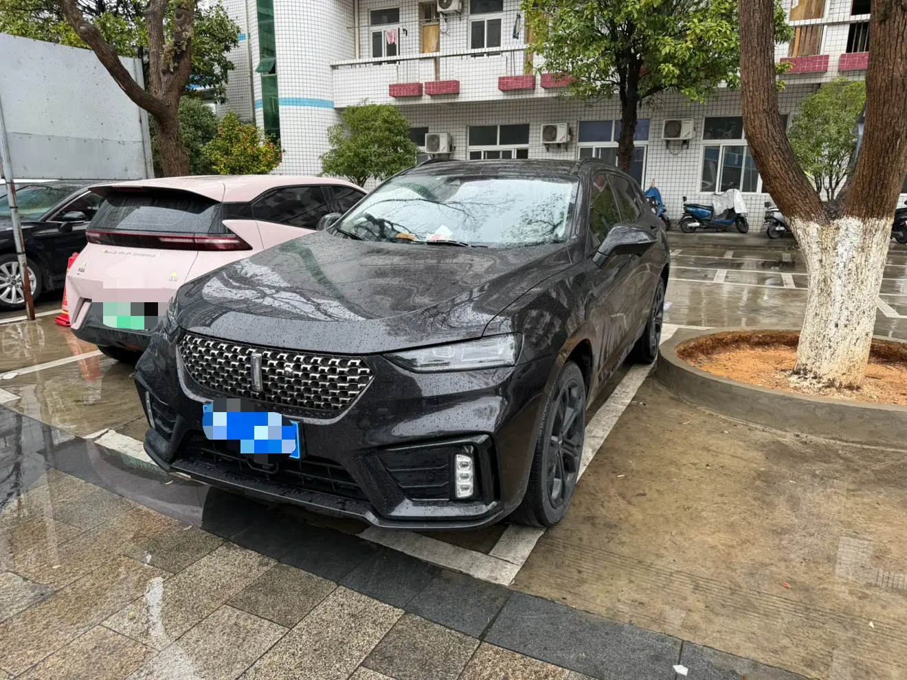 Wey Wei brand VV7