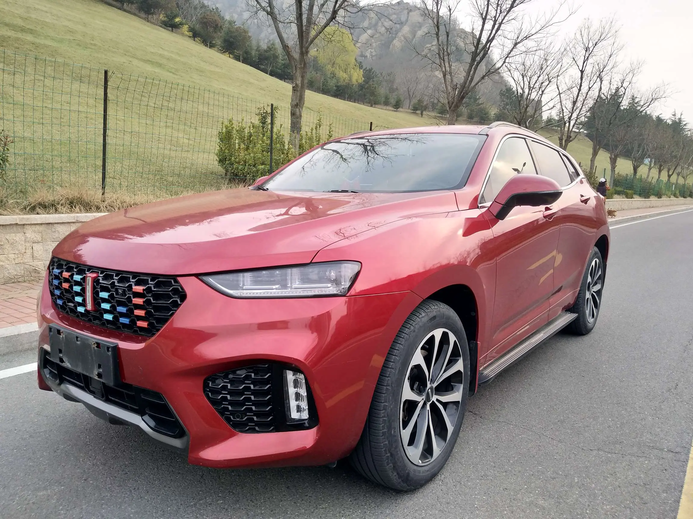 Wey Wei brand VV7
