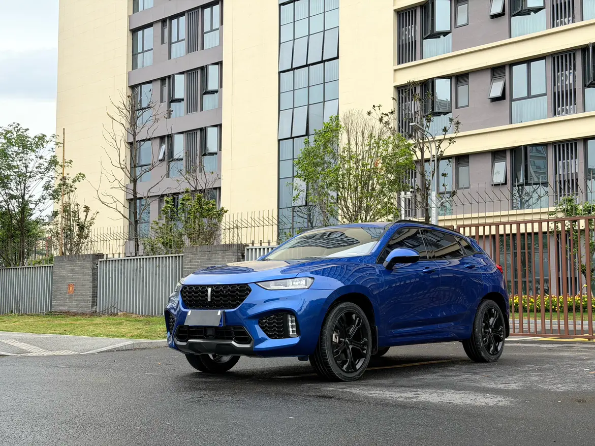 Wey Wei brand VV7