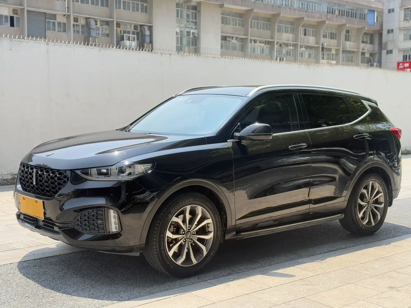 Wey Wei brand VV6