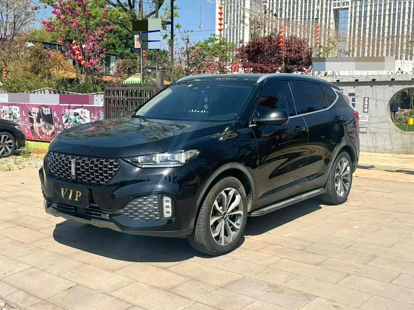 Wey Wei brand VV6