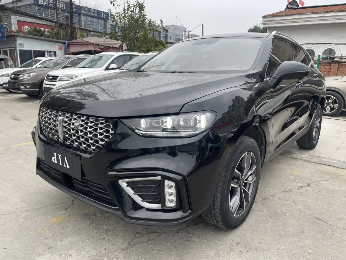 Wey Wei brand VV5