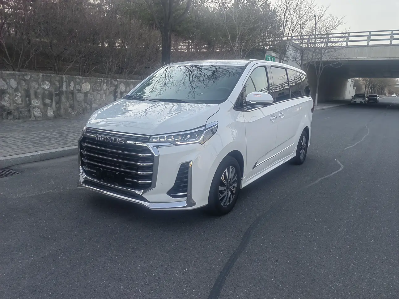 Datong Maxus G20