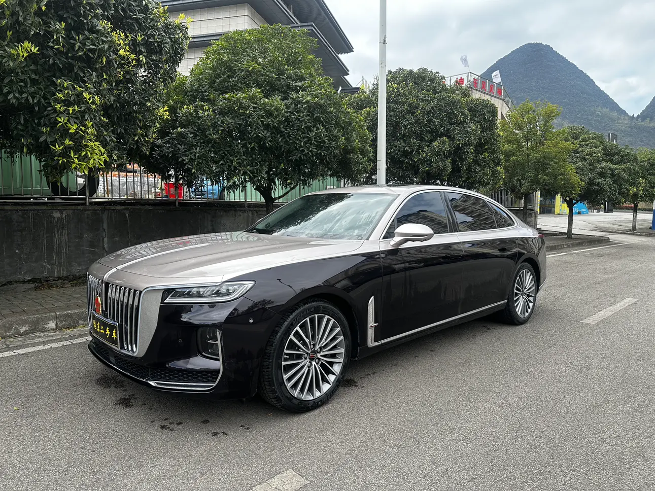 Hongqi H9