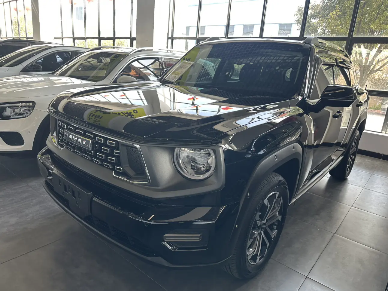 Haval Big Dog PLUS