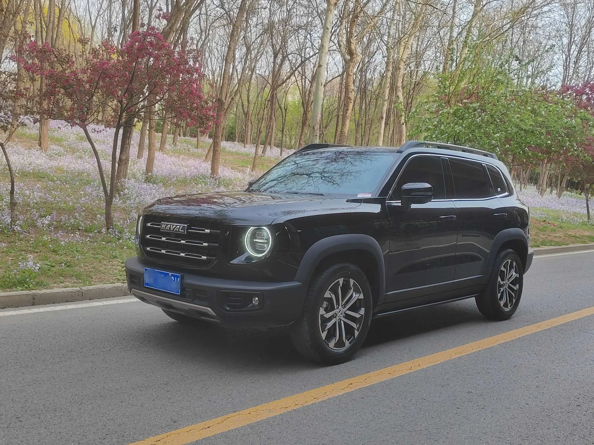 Haval Dargo