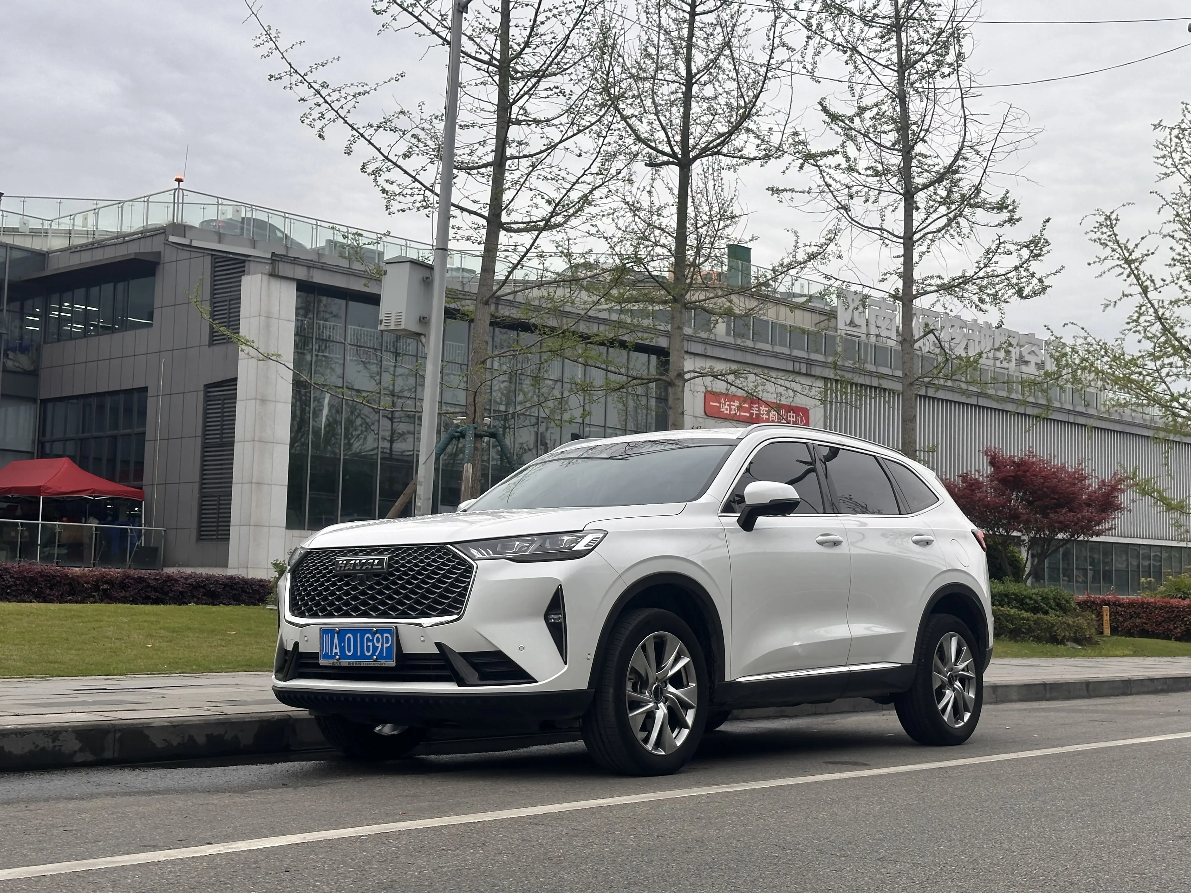 Haval H6