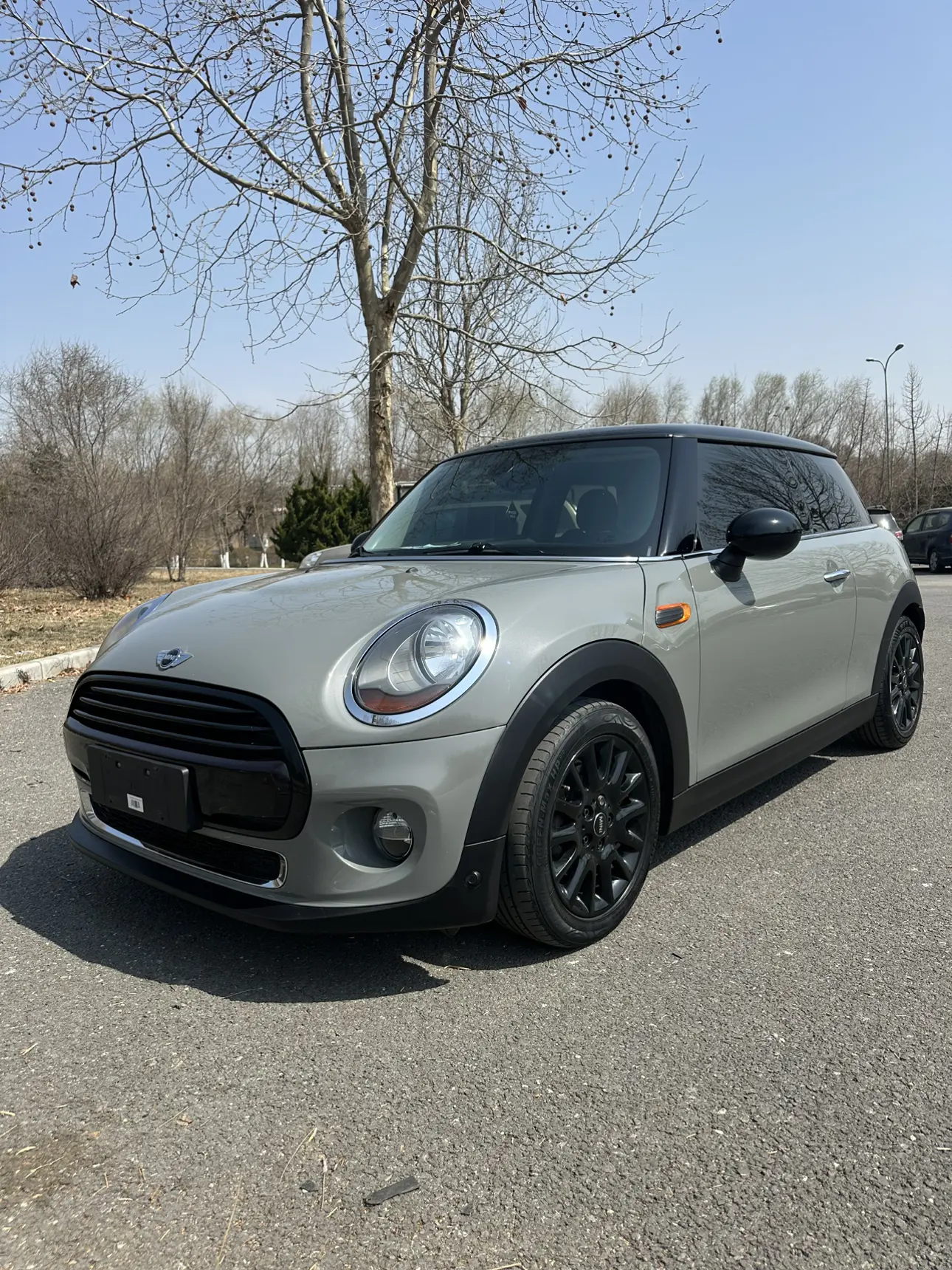 MINI MINI