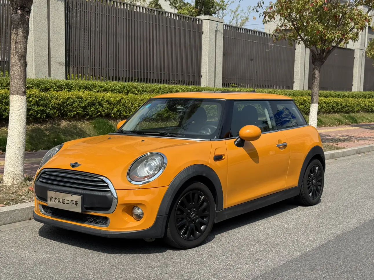 MINI MINI