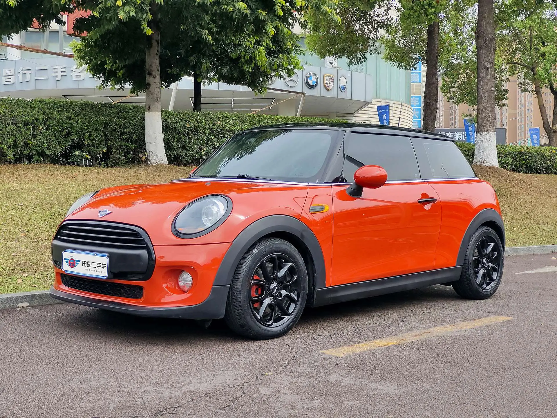 MINI MINI