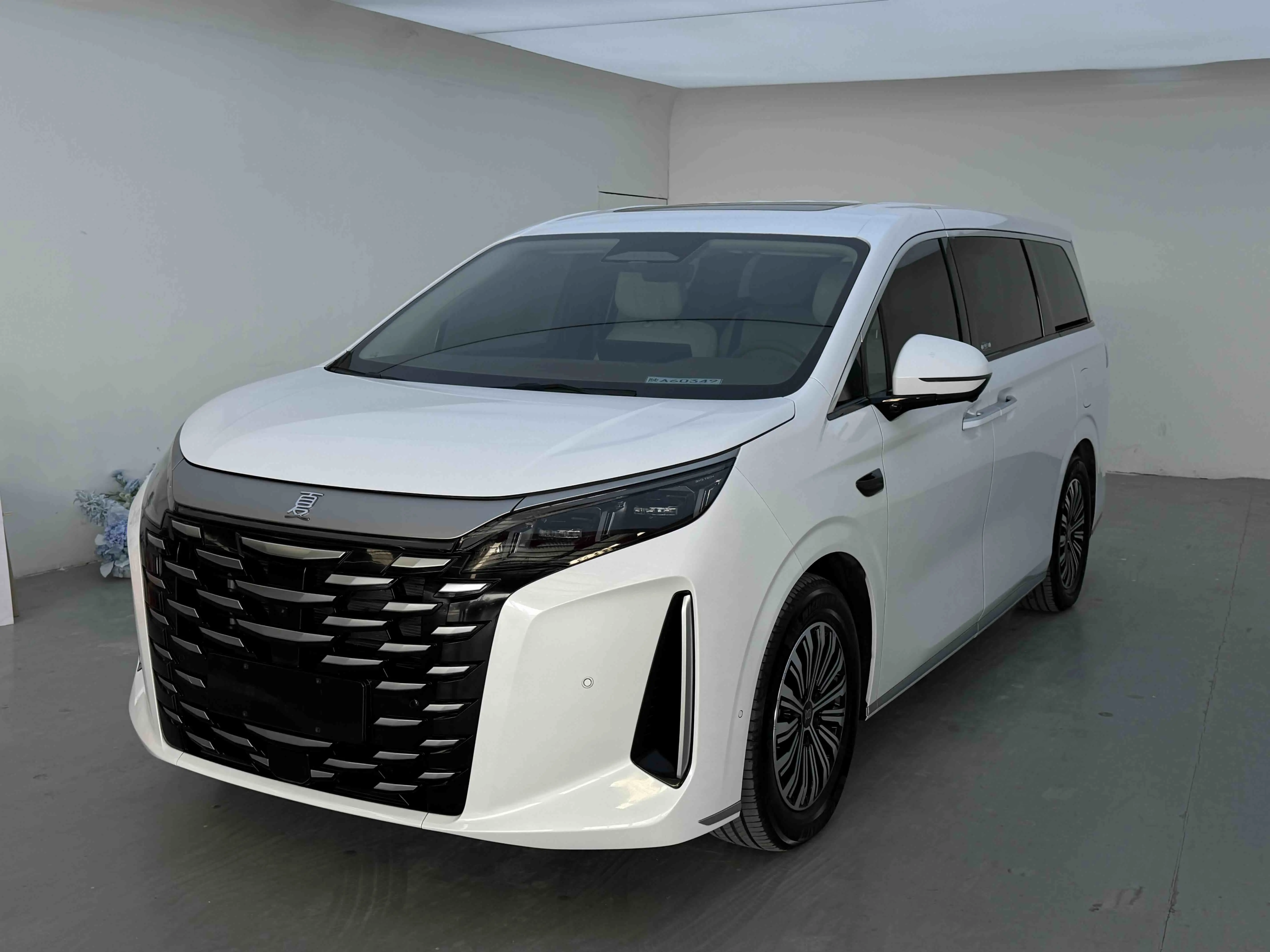 BYD Summer