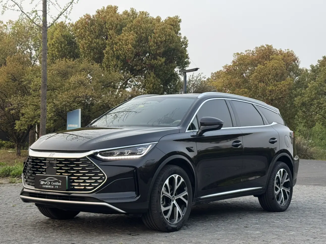 BYD Tang DM