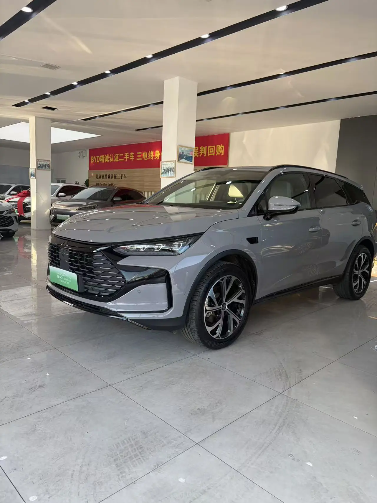 BYD Tang DM