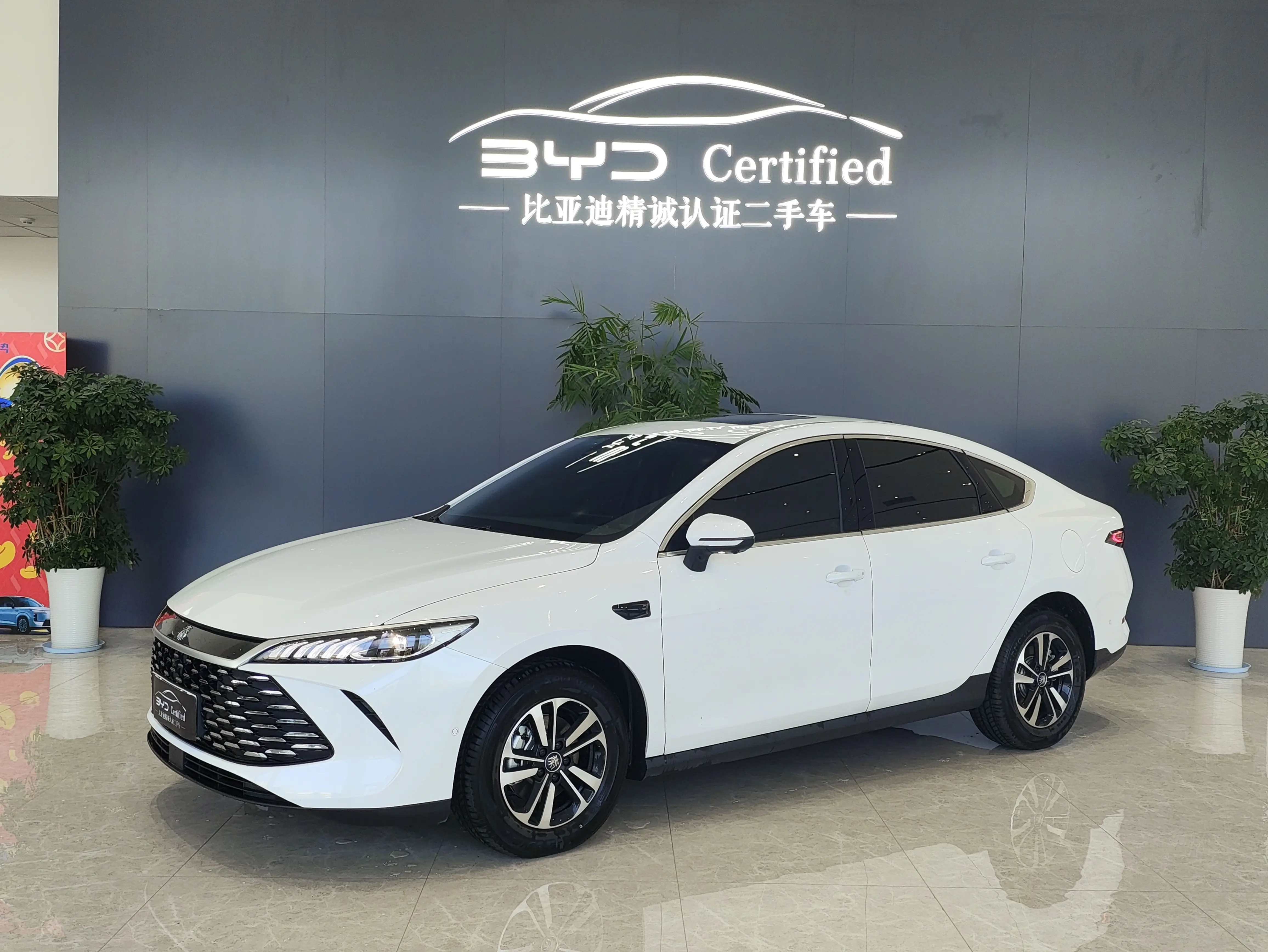 BYD Qin PLUS DM