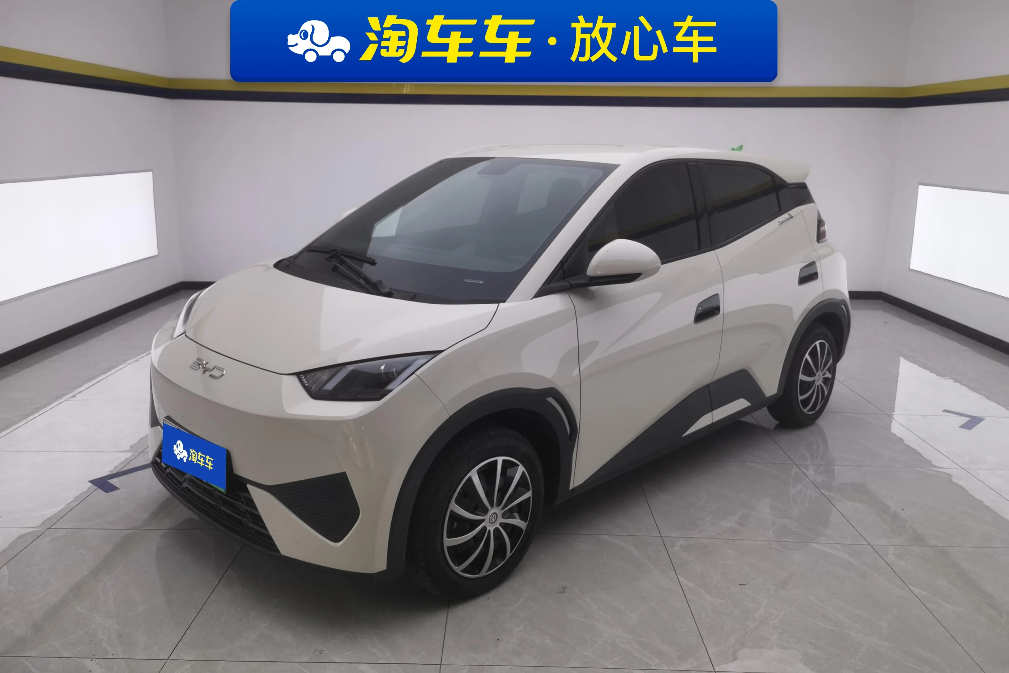 BYD Seagull