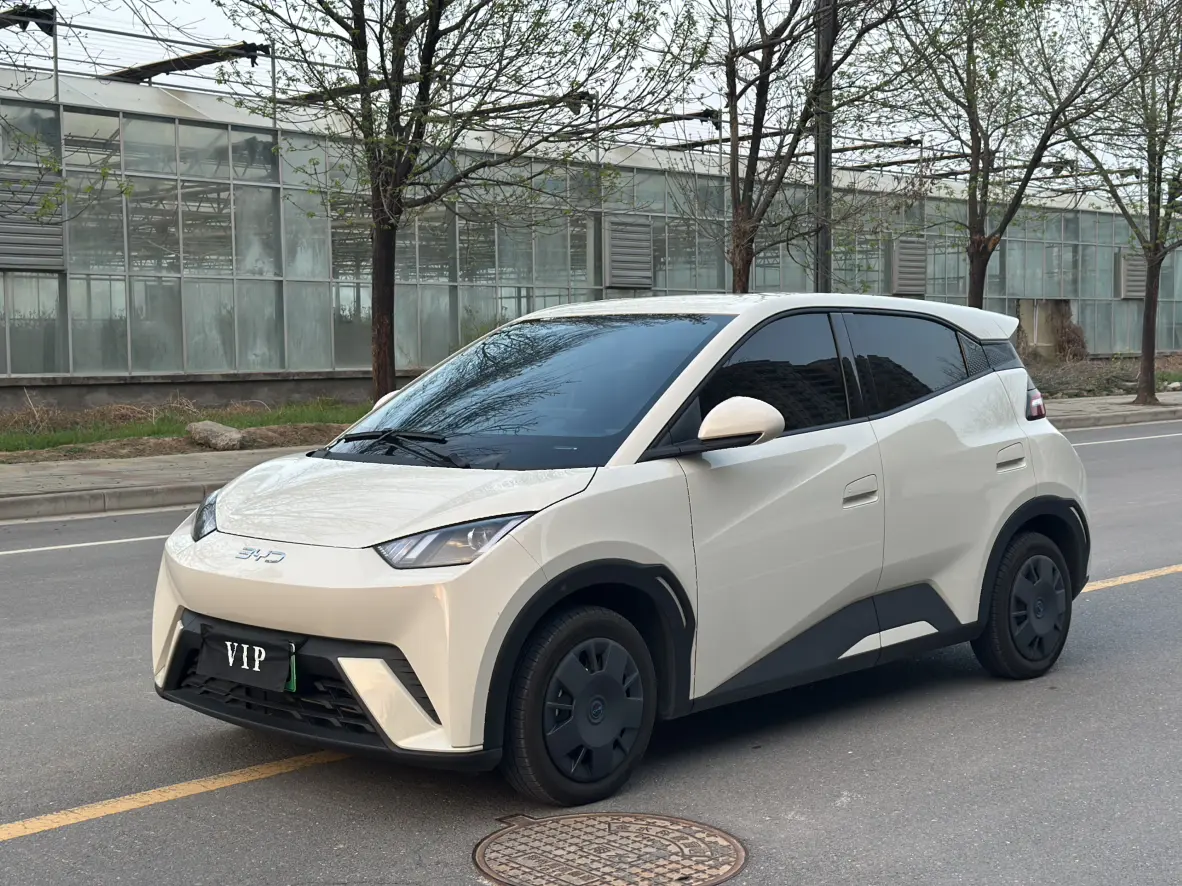 BYD Seagull