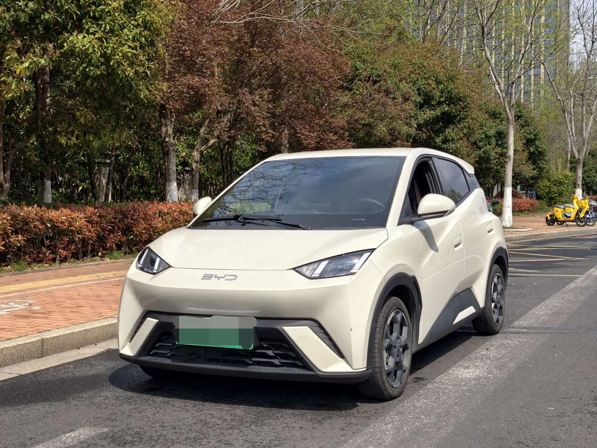 BYD Seagull