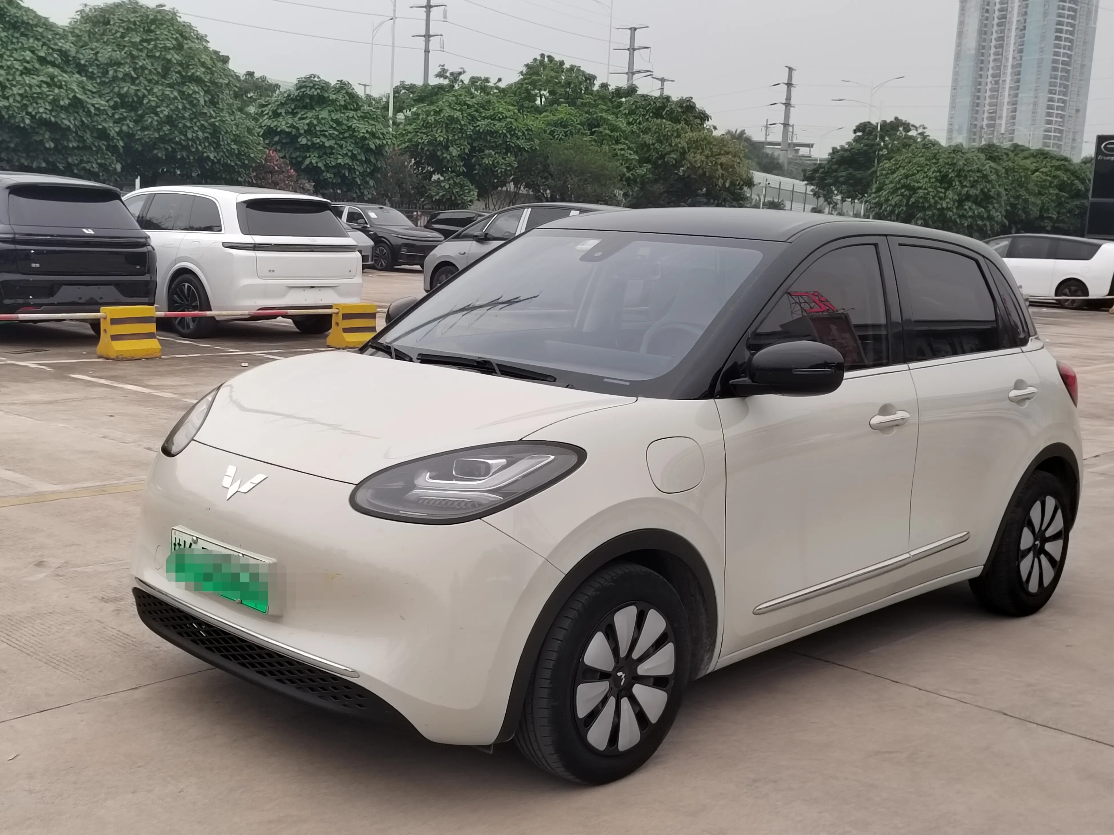 Wuling Bingo
