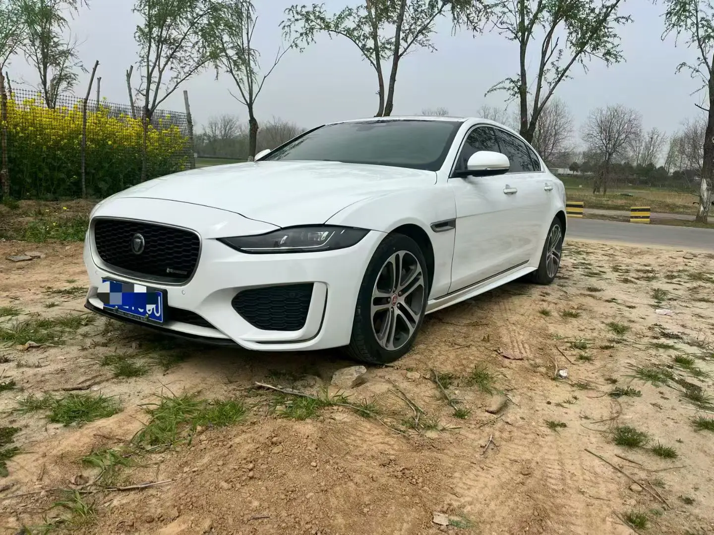 Jaguar XEL