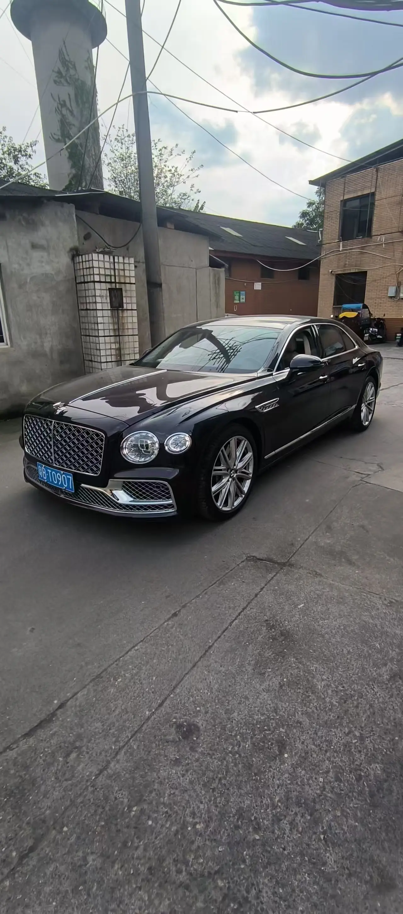Bentley Galloping