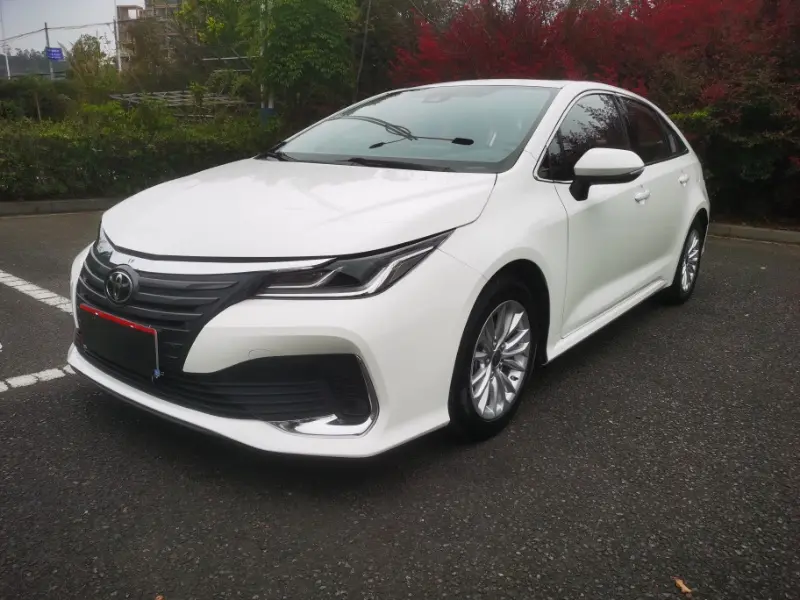 Toyota Asiatic lion
