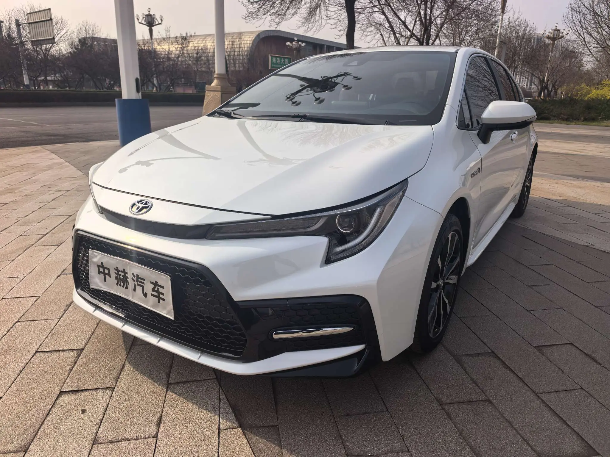 Toyota Levin