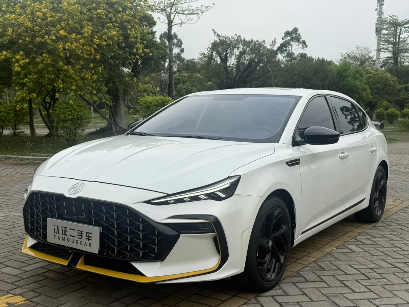 MG 6