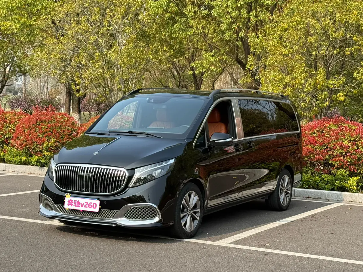 Mercedes-Benz Mercedes Benz V Class