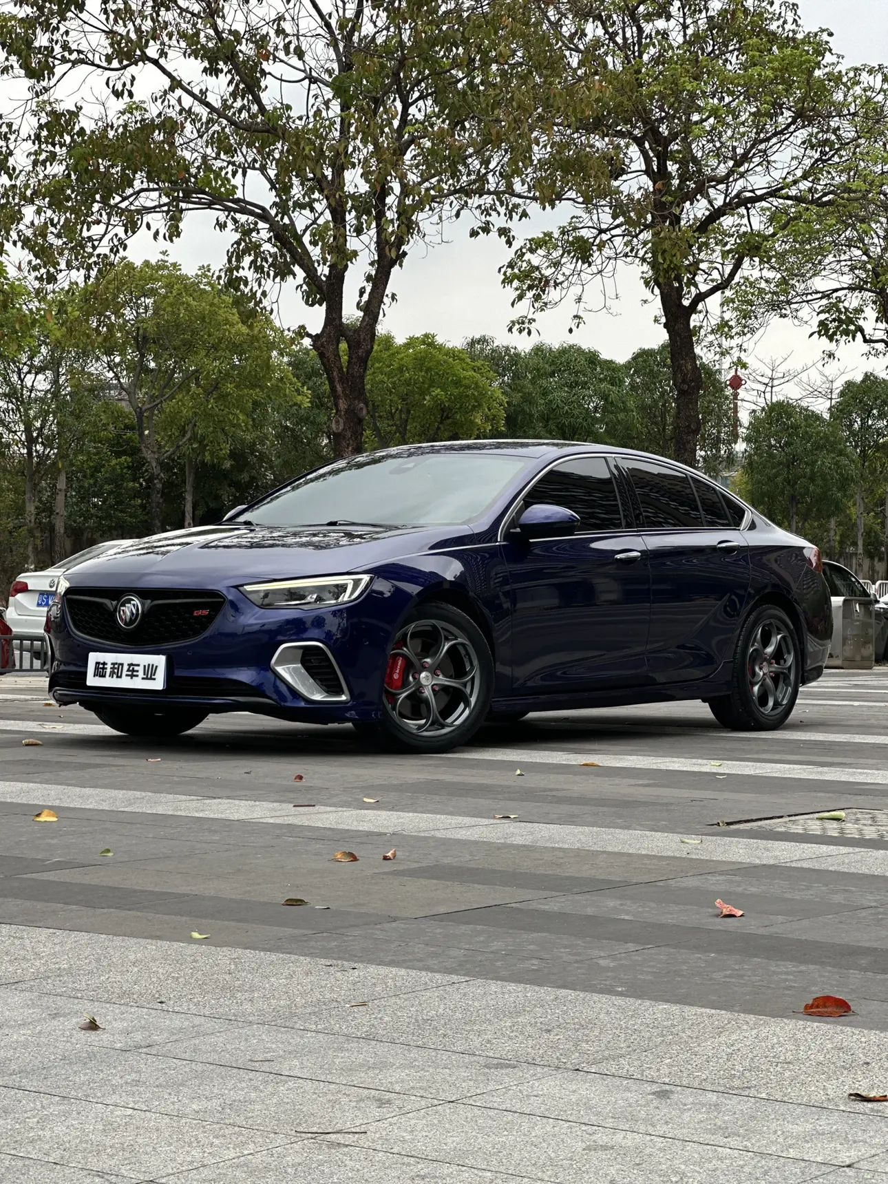 Buick Majesty