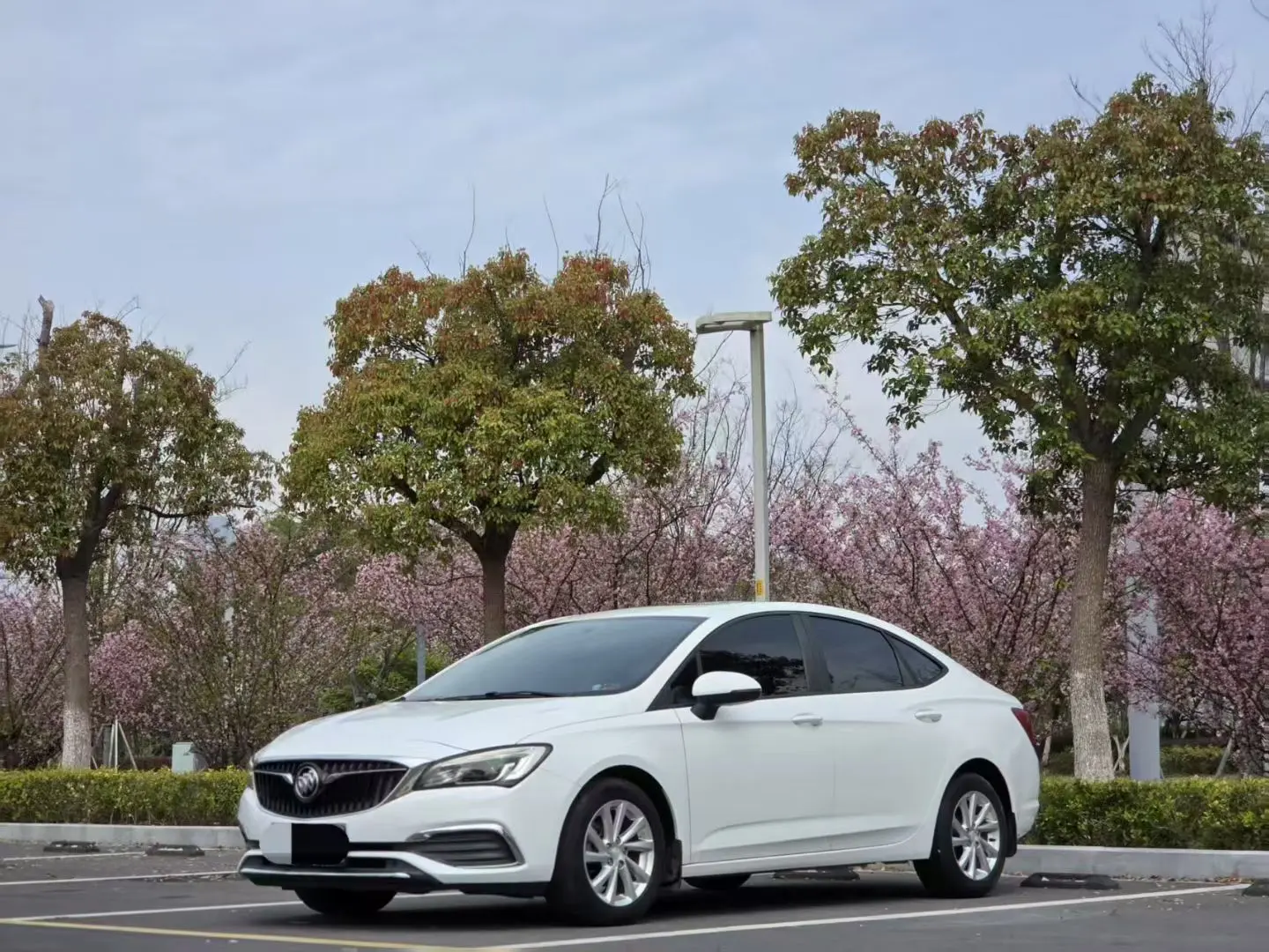 Buick Valeant