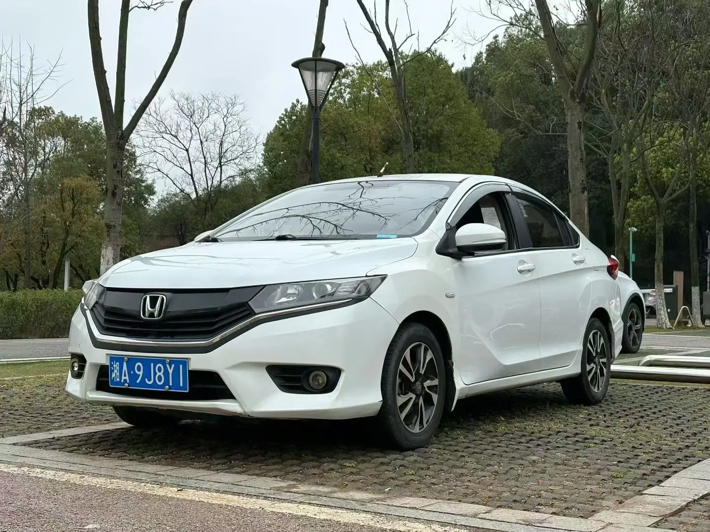 Honda Gray