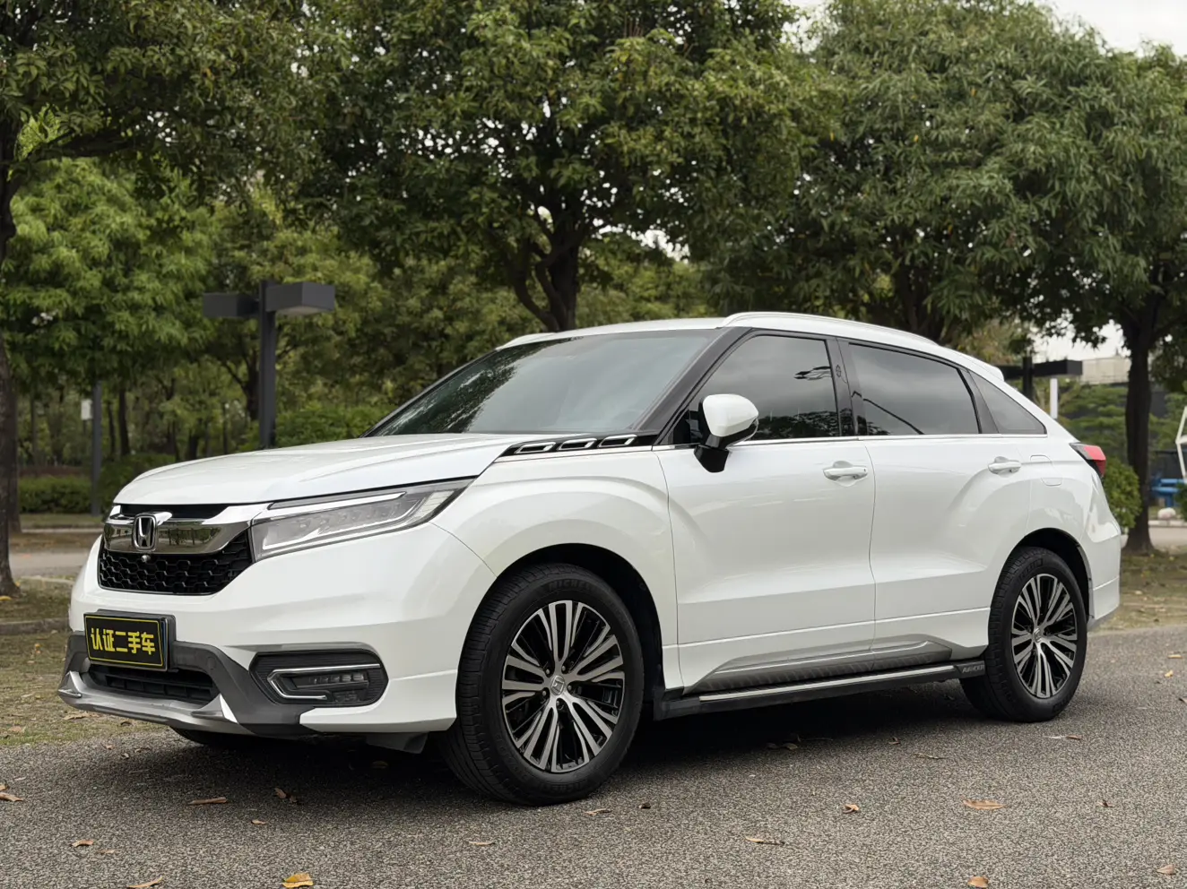 Honda Avancier