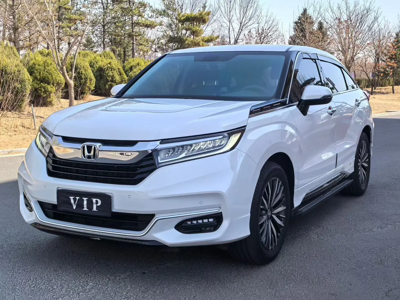 Honda Avancier