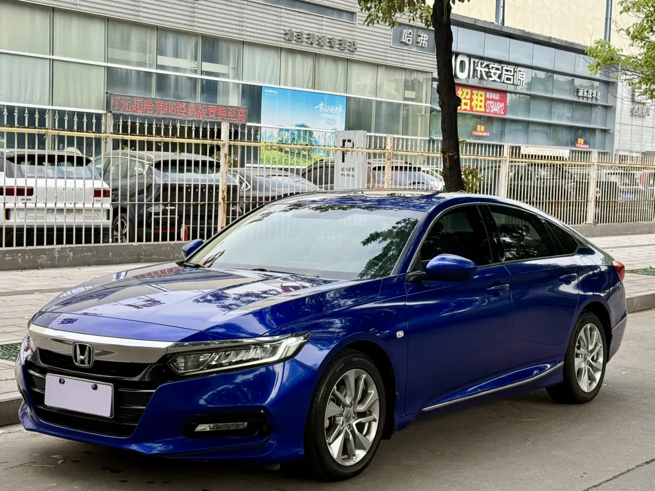 Honda Accord