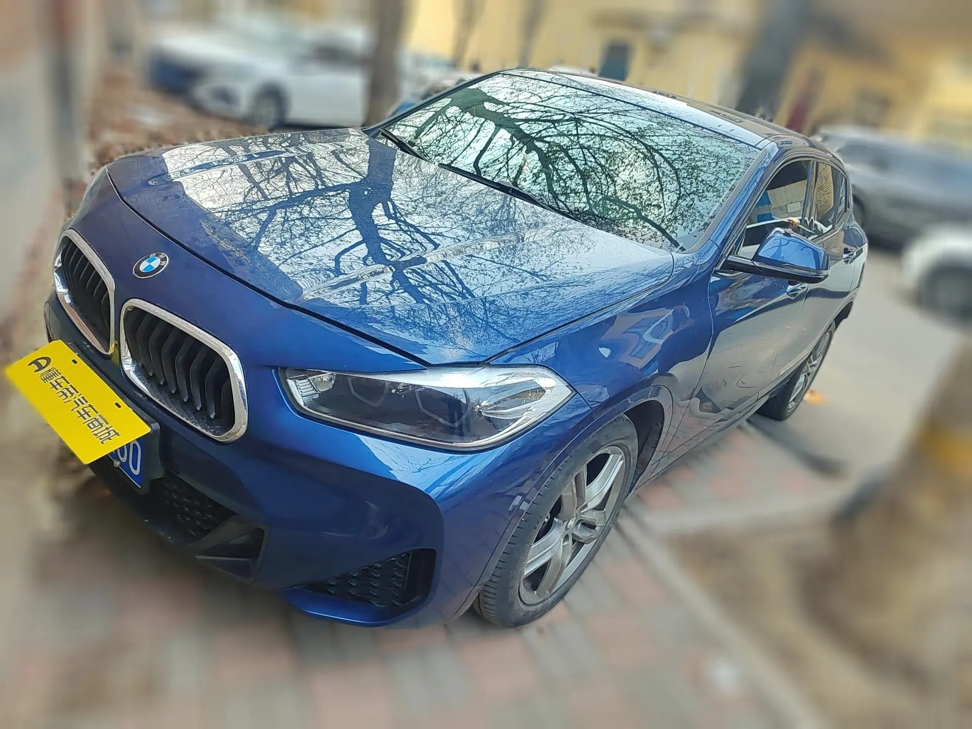 BMW X2