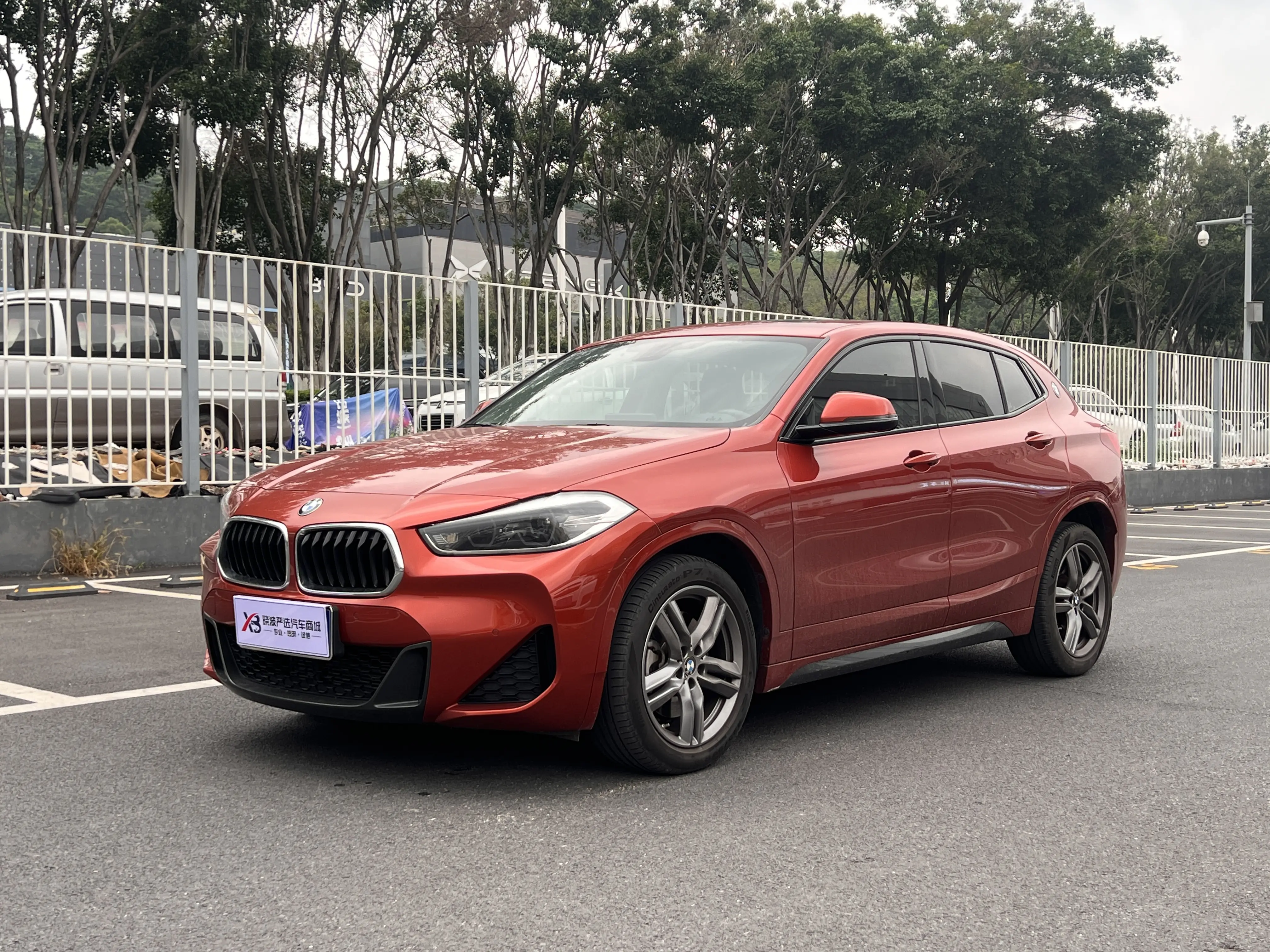 BMW X2