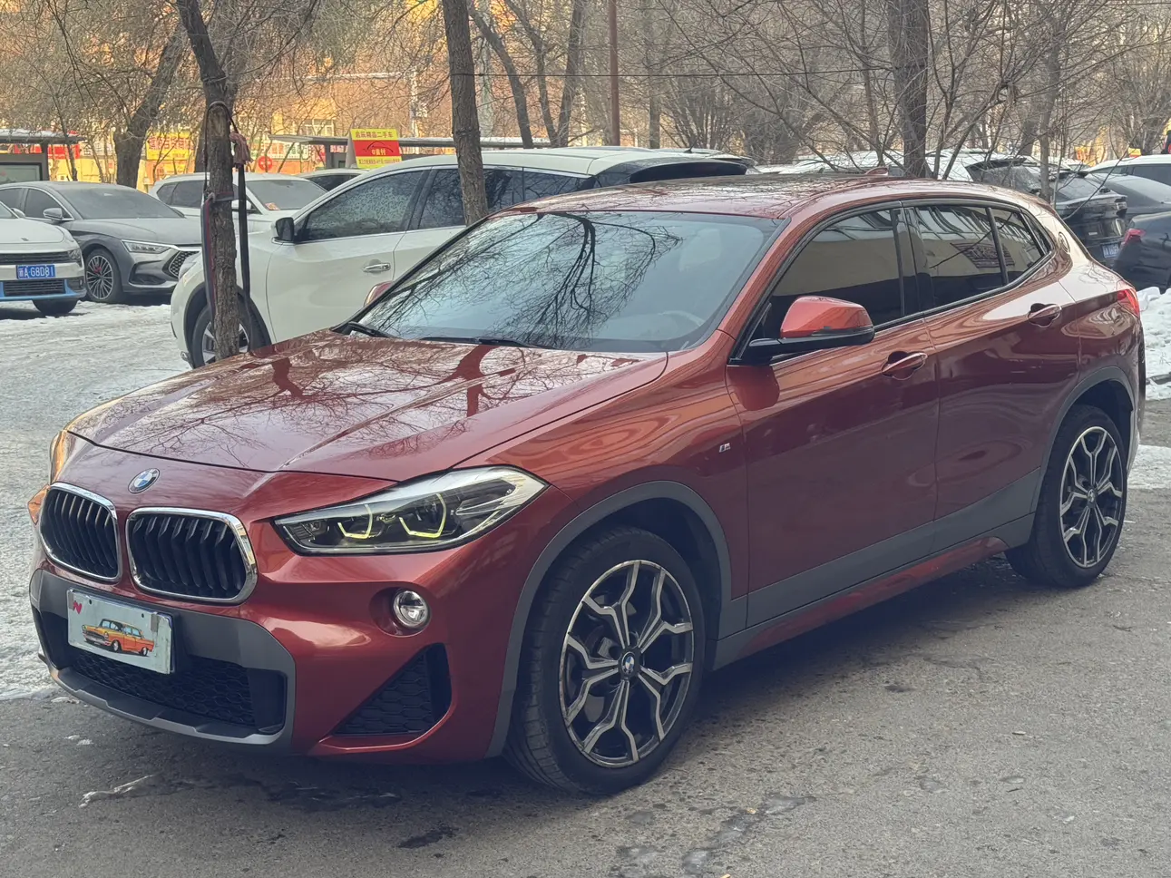 BMW X2