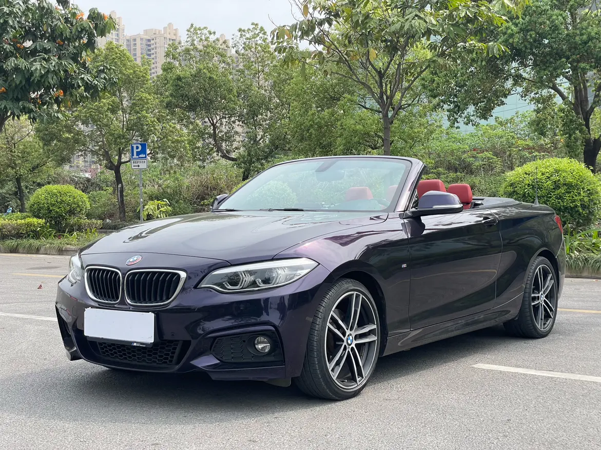 BMW 2 Series