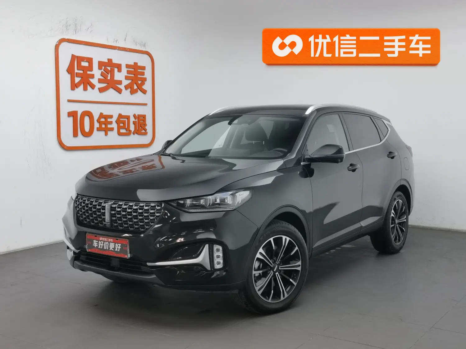 Wey Wei brand VV6