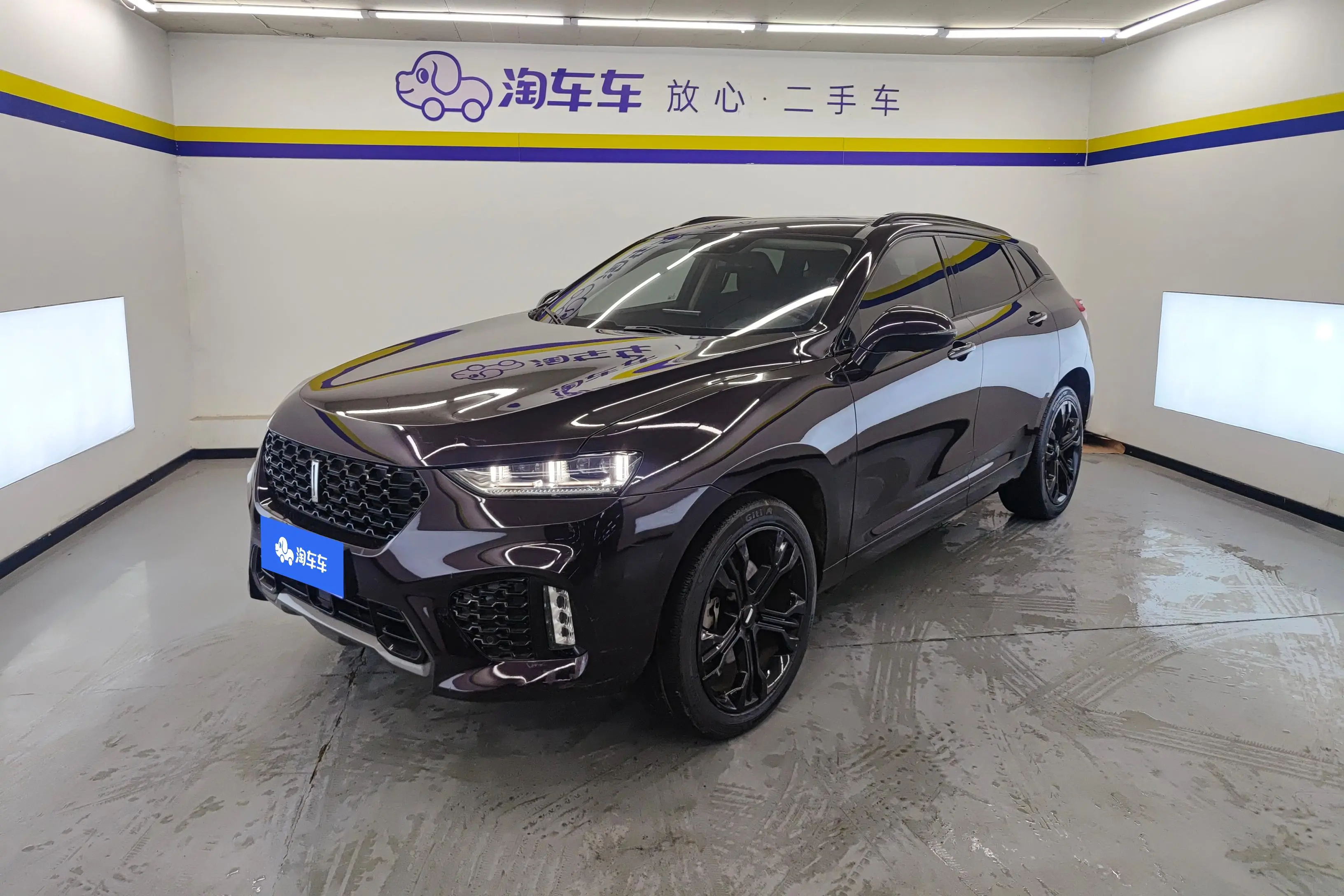 Wey Wei brand VV7