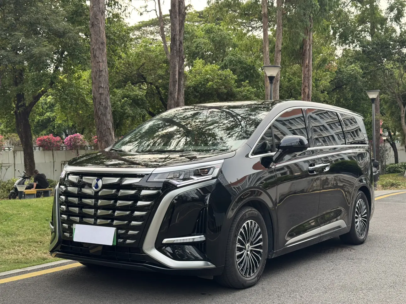 Denza D9 DM