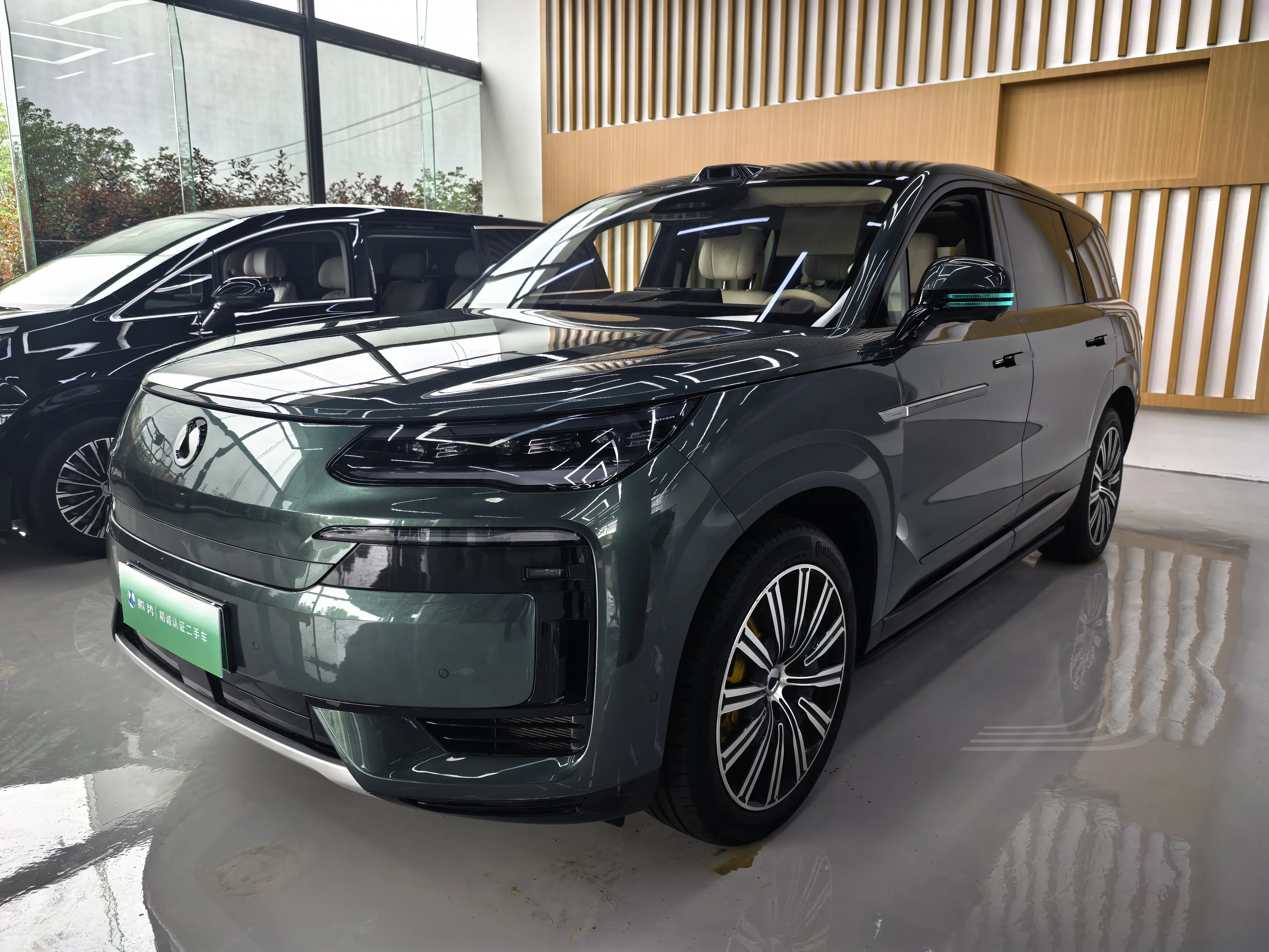 Denza Tengzhong N9 DM