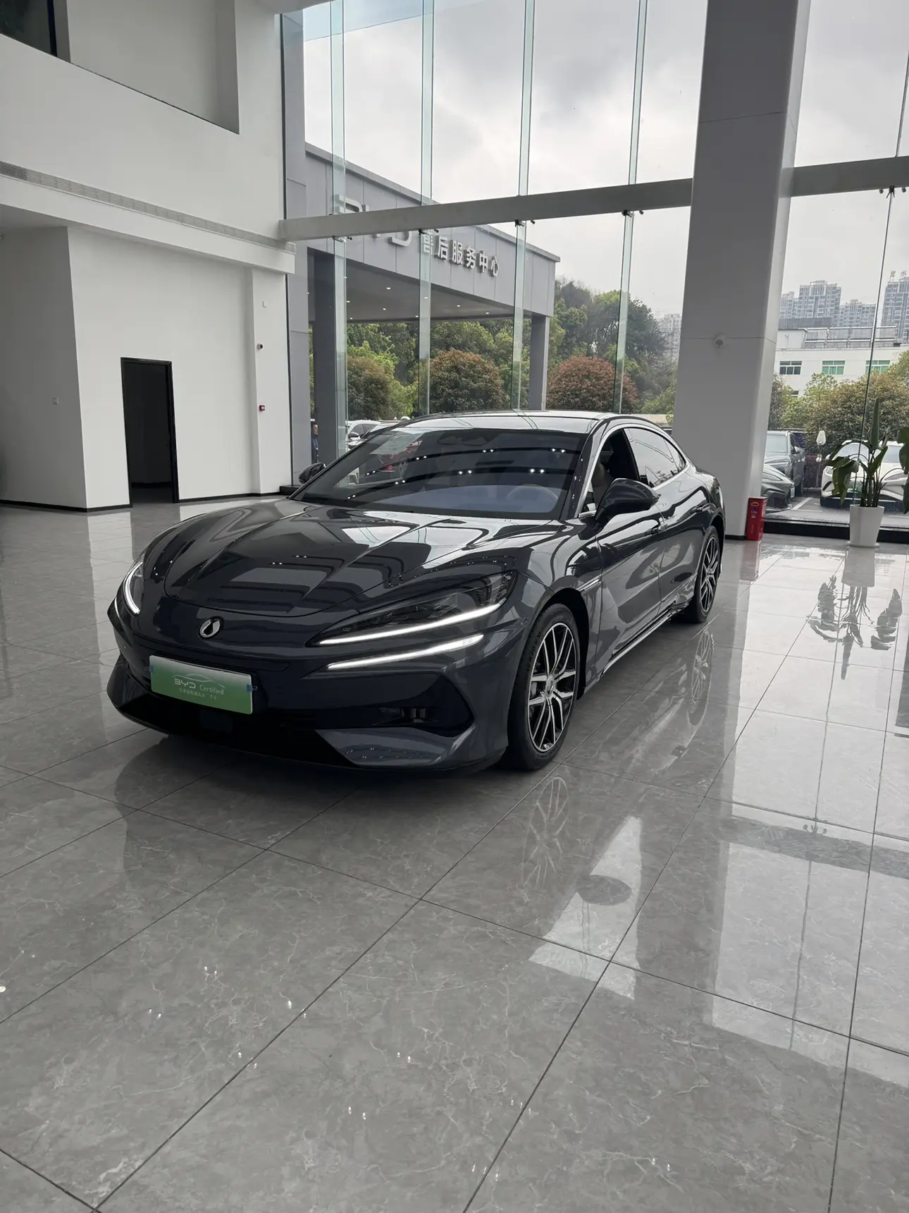 Denza Tengzhong Z9 DM