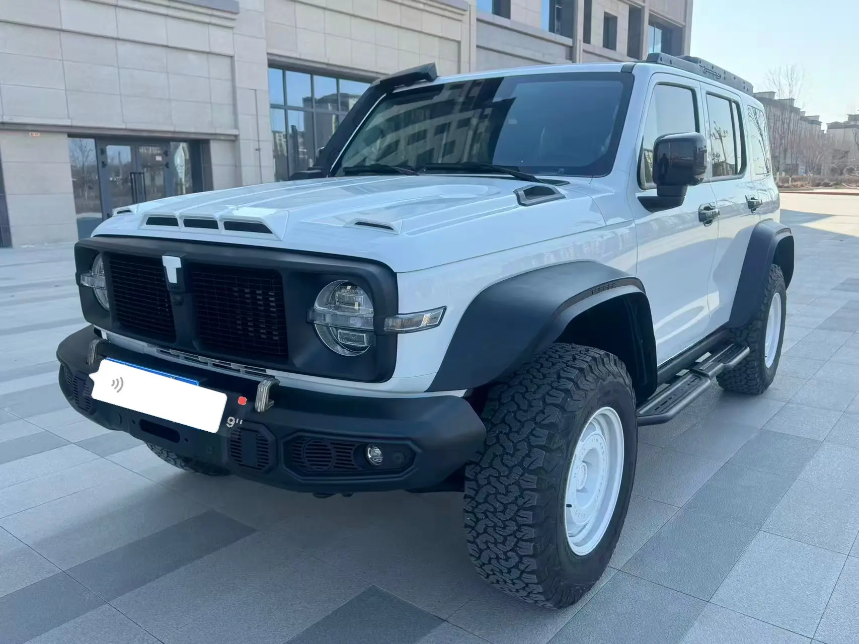 Tank 300