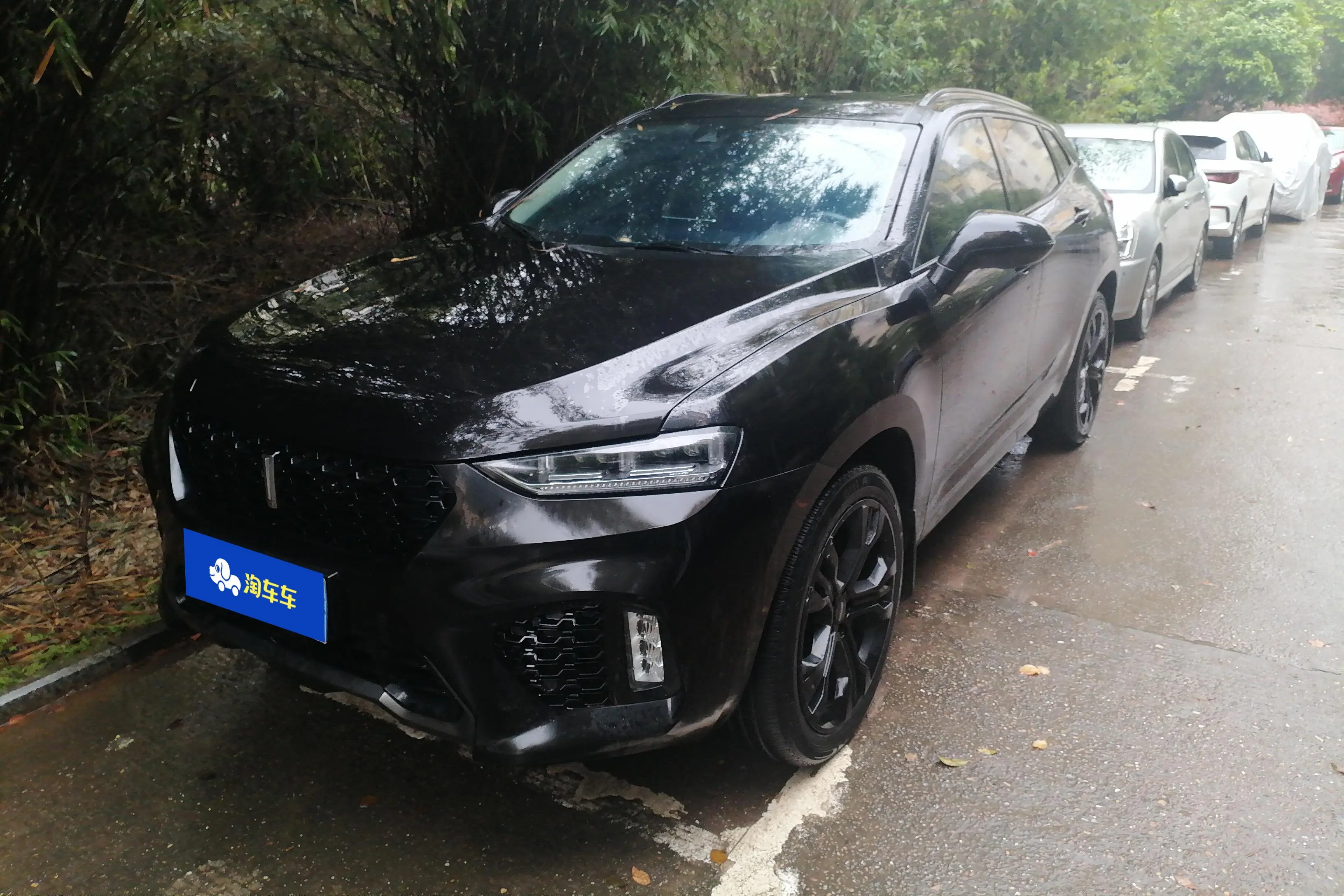 Wey Wei brand VV7