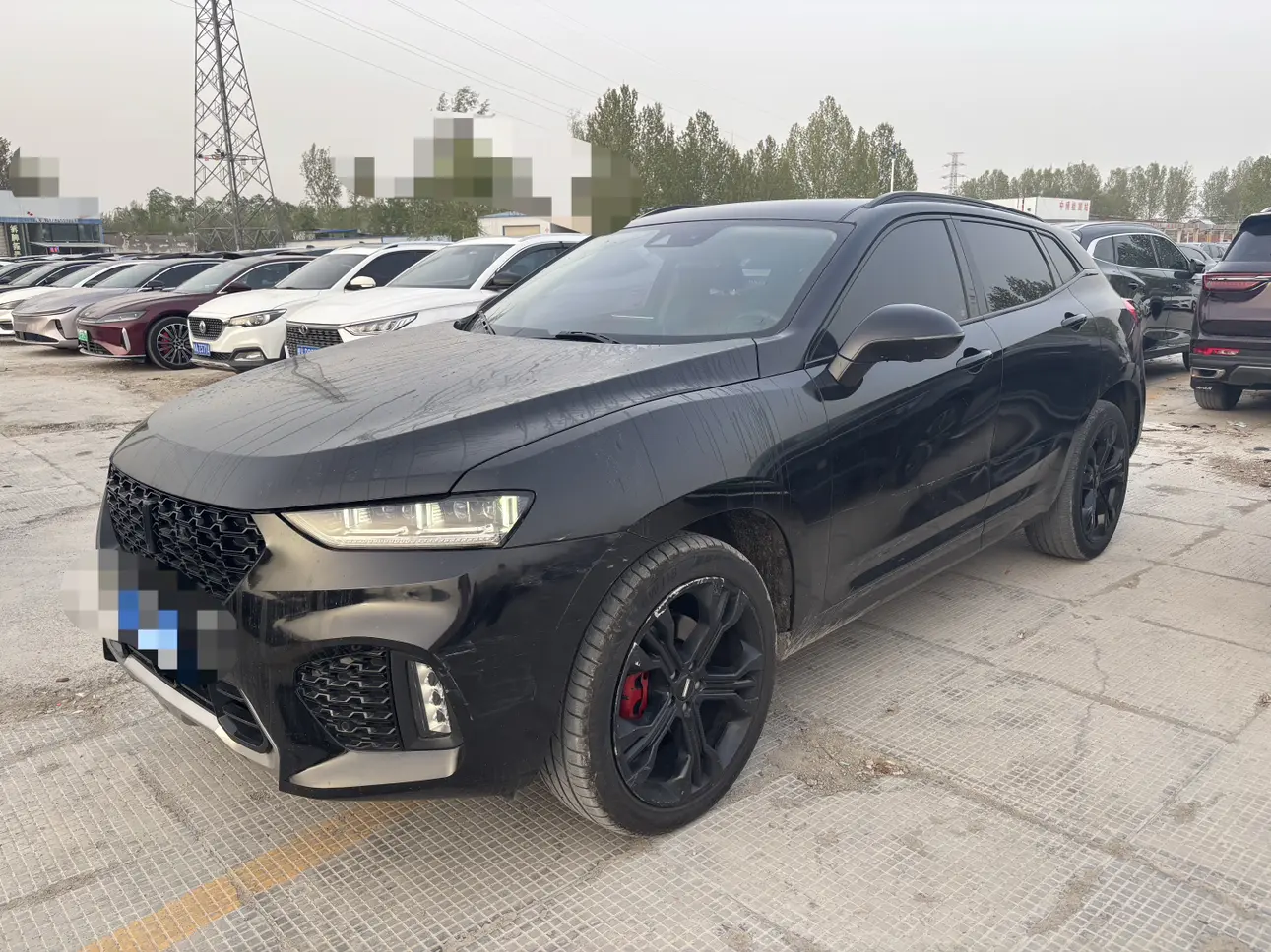 Wey Wei brand VV7