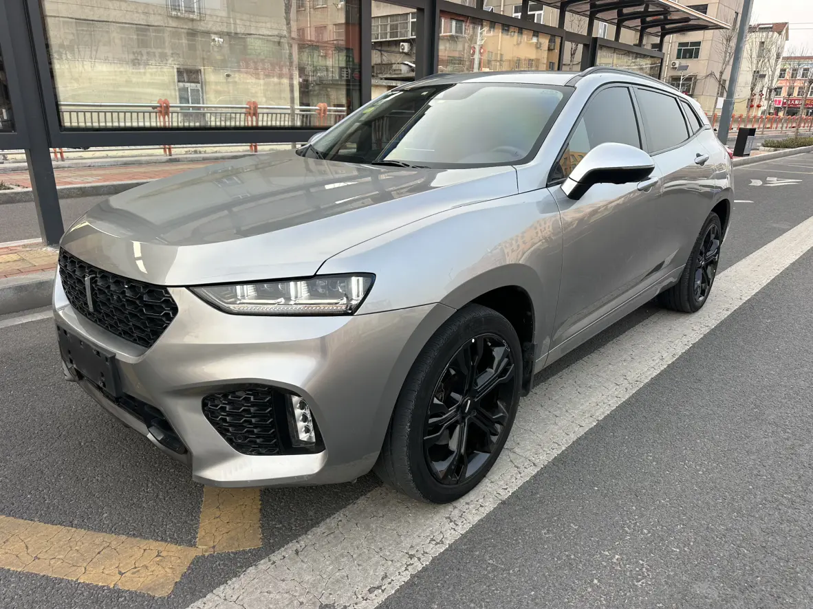 Wey Wei brand VV7