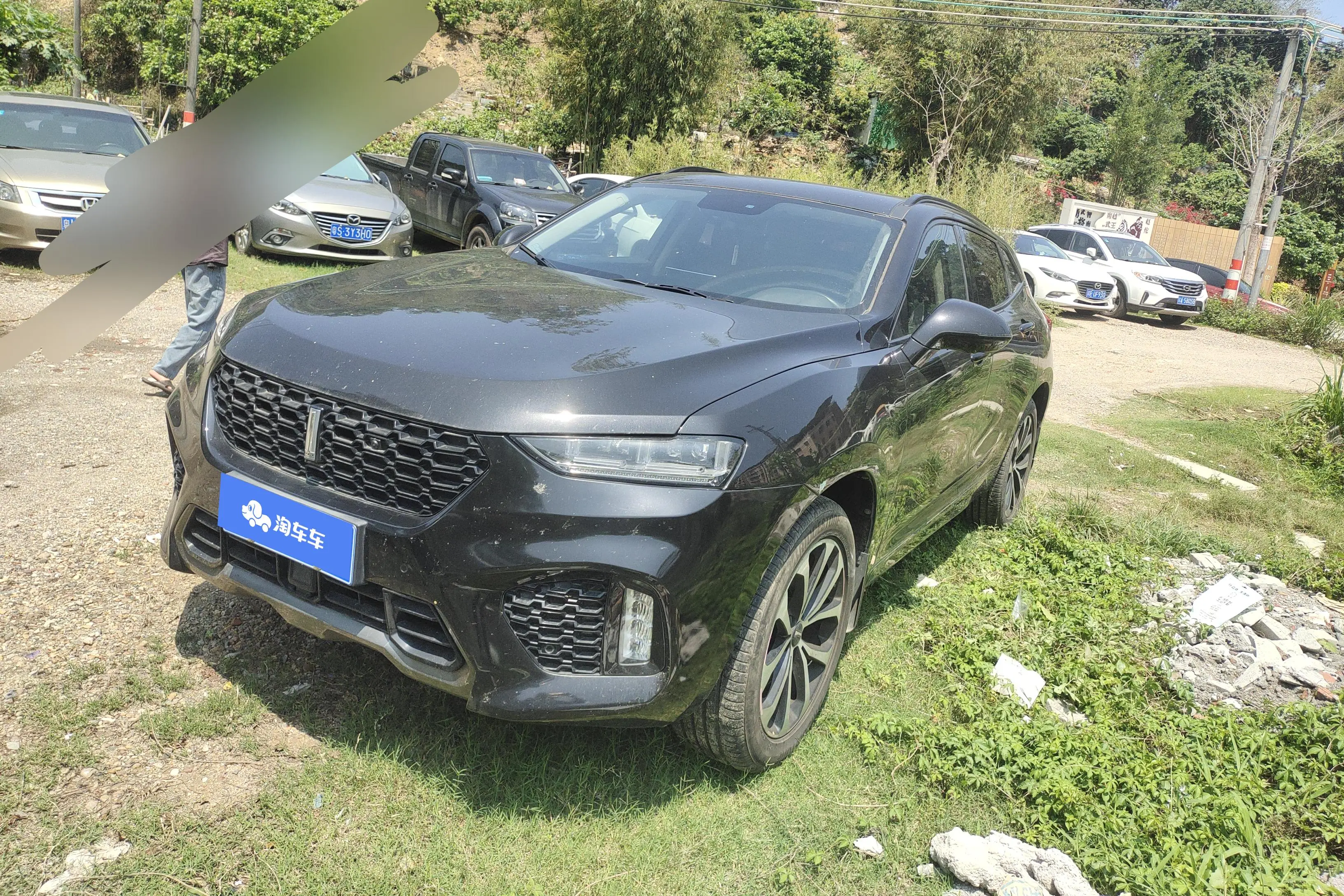 Wey Wei brand VV7