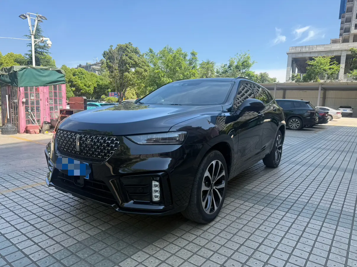 Wey Wei brand VV7