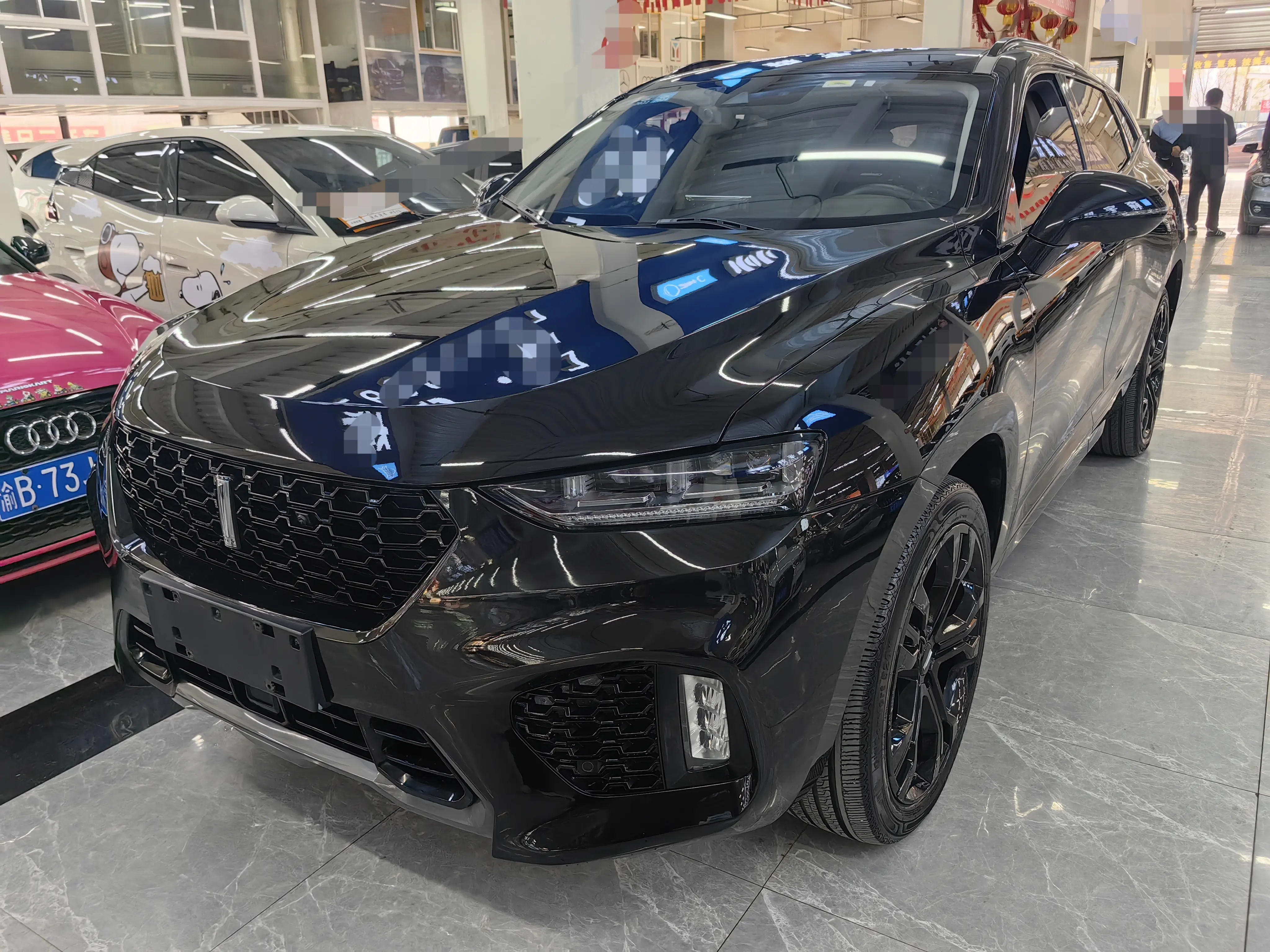 Wey Wei brand VV7